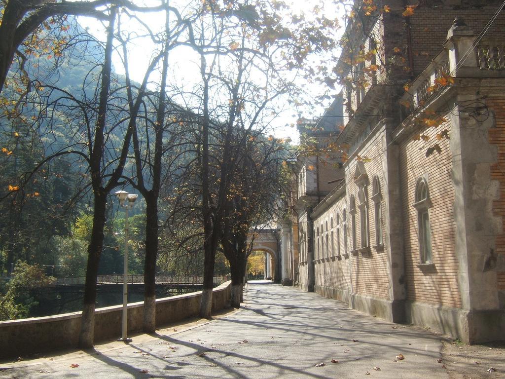 Pensiunea Floare De Colt Hotel Băile Herculane Exterior foto