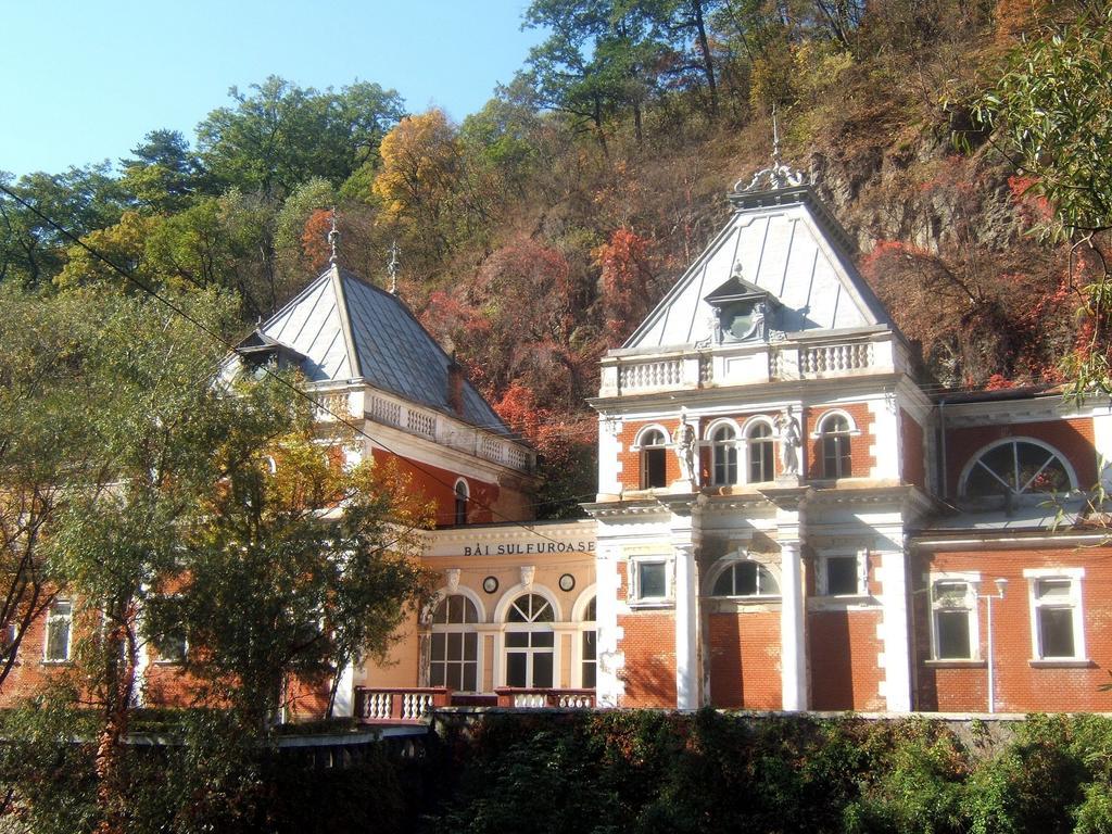 Pensiunea Floare De Colt Hotel Băile Herculane Exterior foto